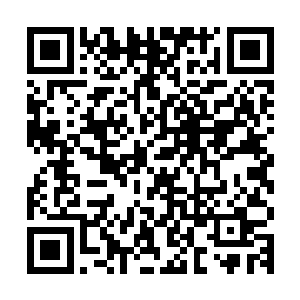不断的增加门徒的数量才能保证不会在审核检查的时候不被砍掉二维码生成