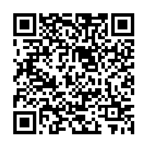 不断的将自身的劲气送入大地再借由喷井之势喷发二维码生成