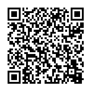 不断的指着两岸的风光和一切他感兴趣的玩意啊啊的叫着让洪涛看二维码生成