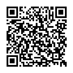 不断重复的则是刚刚佩佩和山努亚讲故事的画面二维码生成