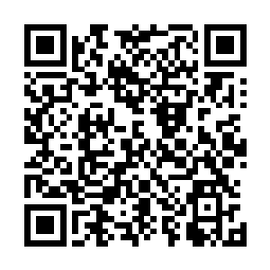 不时吐出的香舌仿佛是一条美人蛇样紧紧的盯着眼前的猎物二维码生成