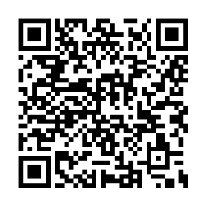 不时有各种毒物和飞禽前来袭击他这个不速之客二维码生成