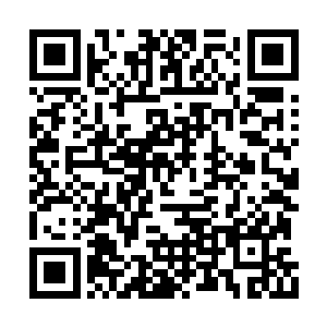 不时荡开的遮颜长发后能看到其眉心的一品红莲二维码生成