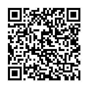 不时还可以看见一丝丝稀薄的浓雾从草地上冒了出来二维码生成