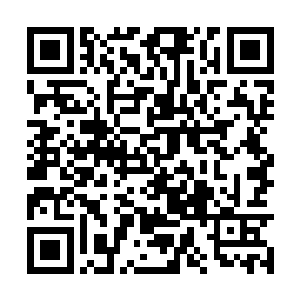 不明白马加特为什么要把荣光从这个训练中摘出来二维码生成