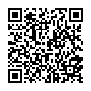 不是不能理解王世子所说的这种名为机甲装备的意义二维码生成