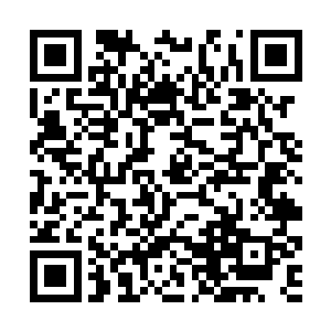 不是东圣殿超然物外不介入东剑域各个势力的纷争吗二维码生成