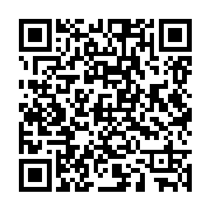 不是为了搜寻遗迹中残存的远古时代的灵宝秘籍的二维码生成