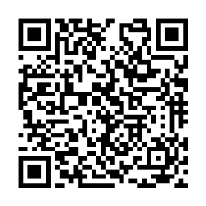 不是他们干的为什么不早点儿把这个消息告诉家里二维码生成