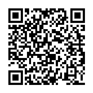 不是分明要让我们家文东夜以继日的累死累活么二维码生成