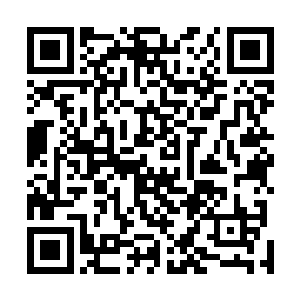 不是别人正是刚才被他打得灵魂泯灭从石梁上坠落下去的二维码生成