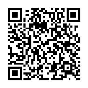 不是前段时间因挨揍一事被推至风口浪尖的江昊霆又是谁二维码生成