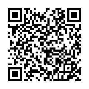 不是因为你妨碍了别人的利益或者说阻碍了别人的道路二维码生成