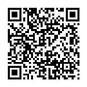 不是因为这具无头尸体散发出来的沧桑古朴的气息二维码生成