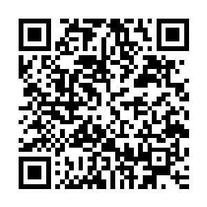 不是妖兽从归魂山脉之中飞出来就是各大狩猎的队伍冲入其中二维码生成