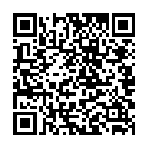 不是嫌弃你的肉不好吃而是他们需要壮丁来制造人狼二维码生成