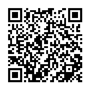 不是您打小就耳提面命的不许我们跟小王爷们学吗二维码生成