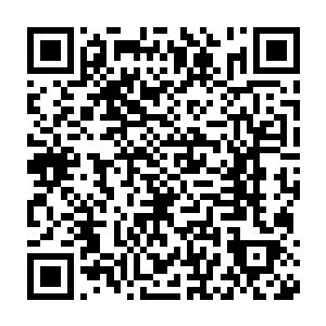 不是我们山外山的呀……我以为是你们仙山瑶池或者其他仙门的呢……二维码生成