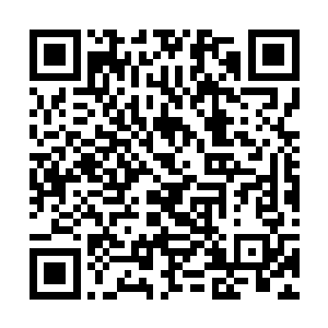 不是我故意装输不装输的问题……是……是林姐姐她二维码生成