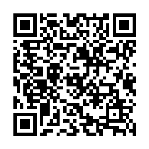 不是所有人都可以成为伍迪一艾伦那样清高的文艺人士二维码生成