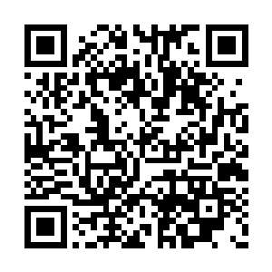 不是把我们星耀联邦当成穷乡僻壤的野蛮国家吗二维码生成