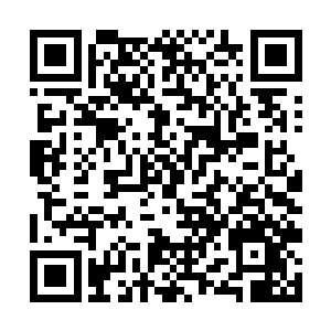 不是明摆着在慕萱萱和东方夏雨的眼皮子底下蹦跶吗二维码生成