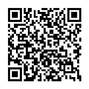 不是有你们白族人的圣女亲自负责这件事情了吗二维码生成