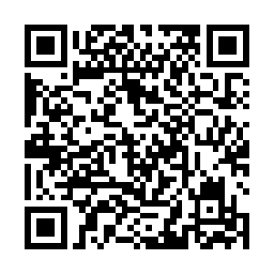 不是有好几个先驱者文明的晶脑和灵网技术都异常发达二维码生成