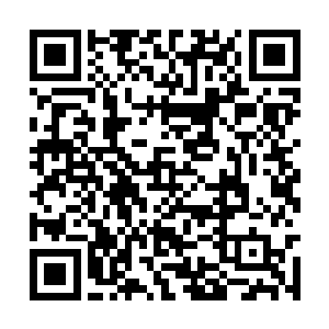 不是某个大家族的败家子就是某个宗门的天之骄子二维码生成