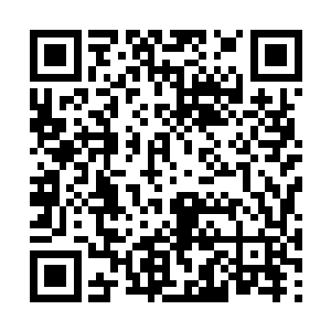 不是柯震的事情……而是……南龙帮出大事了……二维码生成