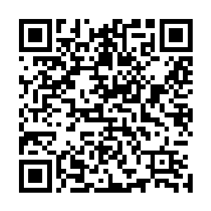 不是每一个人都可以像童话故事或者迪士尼电影里一样有个二维码生成