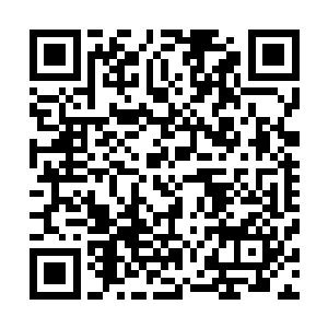 不是每一个玩家都愿意主动让出享受最美风景的机会的……二维码生成