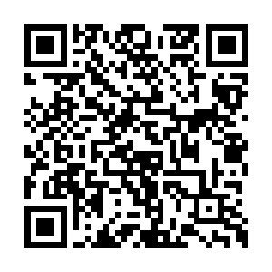 不是生死境强者或者半步生死境强者能培养出来二维码生成