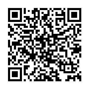 不是说他们没有碰到过更加骄傲和自信的无角人二维码生成