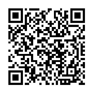 不是说往届武林大会都是由前一届的高手定地方么二维码生成