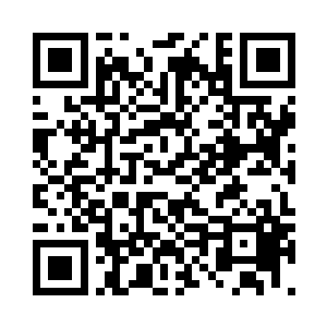 不是说御宠仙人都是远程指挥的天才二维码生成