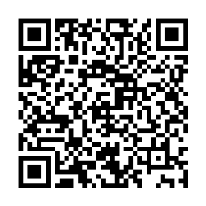 不是说援军总司令忙着策划大反击忙的不可开交吗二维码生成