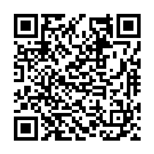 不是说魔族那边修为最高的也不过人尊初期巅峰吗二维码生成