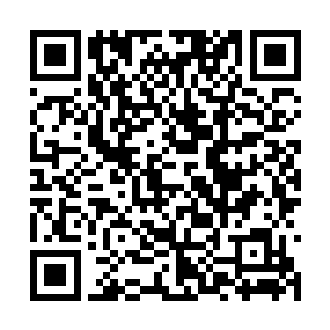 不是遭到了孙家贼子的袭击便是遭到了其军的埋伏二维码生成