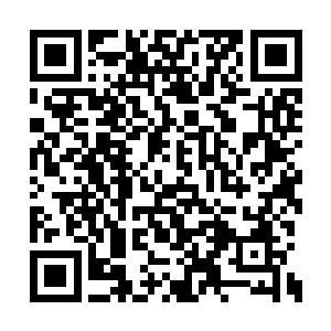 不是那个女巨人出的手就是整个世界意志的动作二维码生成