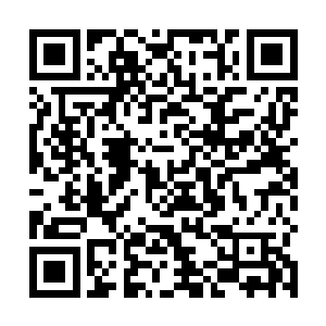 不是铜墙铁壁――因为即便你遇到了防御无敌的盾卫者二维码生成