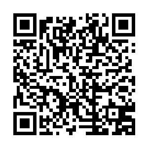 不是zf不作为或者说喜欢冷漠的看着民众被病毒肆虐二维码生成