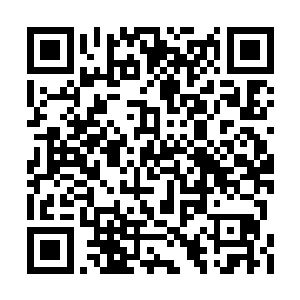 不服气的张铁拿着一颗莲子放到嘴里试着咬了咬二维码生成