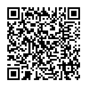 不朽大日神体鸿蒙至尊体不朽仙体和剑魔形态在这一刻被施展到了极致二维码生成