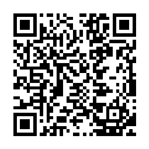 不止一次说过遗憾自己未曾和瑶月神后天凰神后同处一个年代二维码生成