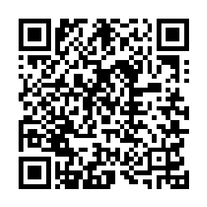 不止一辆警车或者救护车让巴克把车开到路牙子上去避路二维码生成