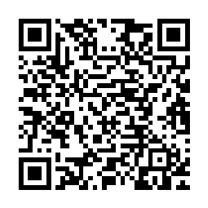 不正是前一阵子在黑暗山谷返回的路上走丢的那两个小丫头吗二维码生成
