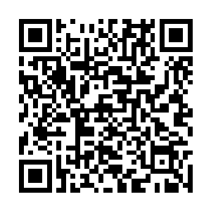 不正是平日里和诸葛少爷往来最密切的尊贵客人吗二维码生成