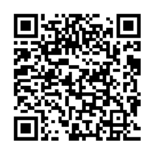 不死之身战五渣+居心不良腹黑神=说多了都是泪的渣渣升级血路二维码生成