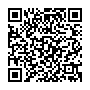 不死神王诀与天魔不灭体都是将不灭之道发挥到极限的大道神通二维码生成